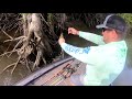 bass fishing the tensaw river big fish mobile river delta