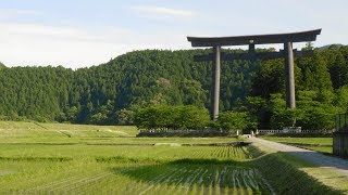 Kumano Kodo 世界遺產 熊野古道 中邊路 聖地巡禮 預告片