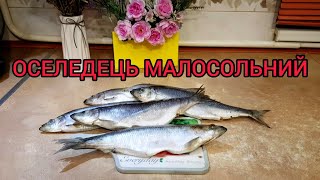 👍👍👍ОСЕЛЕДЕЦЬ МАЛОСОЛЬНИЙ !!! 🐟🐟🐟 ПЕРЕВІРЕНИЙ РЕЦЕПТ !!! 👍👍👍