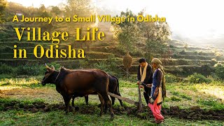 Discovering the Charm of Rural Odisha | A Village Adventure | ଗାଁ