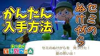 【あつ森】セミのぬけがらが簡単に入手できる方法を紹介します【あつまれどうぶつの森】