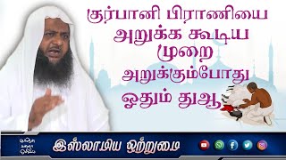 குர்பானி பிராணியை அறுக்க கூடிய முறை அறுக்கும்போது ஓதும் துஆ _ᴴᴰ┇உமர் ஷரீஃப் இப்னு அப்துஸ்ஸலாம்┇