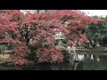 mizu水water有栖川公園（広尾）＜5＞紅葉national azabuナショナル麻布