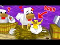 Monster School : Gold Chicken - Sad Story - Minecraft Animation