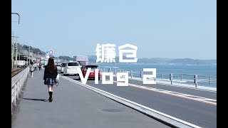 东京赏樱之行Vlog2：坐火车到传说中的湘南海岸？？？？-镰仓树 花 海岸线跟我想象中的画面一模一样❤️感觉只要在这里发生的故事一定很温柔