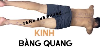 Kinh bàng quang và vị trí 38 huyệt thường dùng kinh túc thái dương bàng quang trên người thực