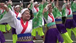 舞人＠2019　坂戸夏よさこい