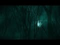 forest u0026 mountain stories from japan cryptids aokigahara and more horrorstories scarystories