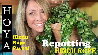 Repotting Hoya Hindu Rope | HOYA Series Finale!