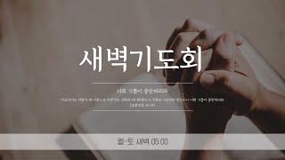 2025-02-07 I 하나님에 대한 기대가 큰 실망으로 돌아올 때 I 장창진 목사 I 부천참된교회 새벽예배