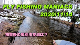 FlyFishingManiacs2020/11/14～初雪後の尻別川支流は？