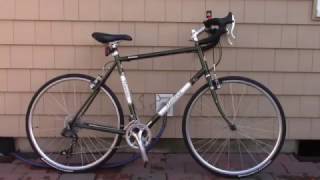 Overview/Review of my 2014 REI Novara Randonee touring bicycle. ( Day 20 of 30 Days of Vlogs. )