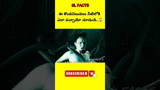 ⚡⚡💥Most Interesting amazing facts Telugu| #trending #shorts #telugu #viral⚡💥⚡