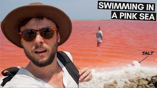 WE FOUND A PINK SEA (IS THIS REAL?) 🇨🇴 THE PINK SEA OF COLOMBIA | CARTAGENA