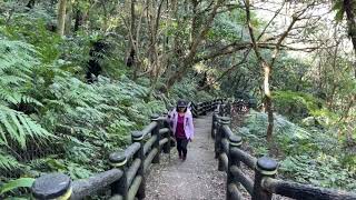 『台北必去景點』貓空纜車初體驗🐈樟樹樟湖環狀步道，體驗人文的一天｜三個蛋糕cakethree