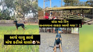 વાયુની મોજ 🐶🦮| Jay Sakariya | Dog | Doberman | Horse open pen area | Dog Lover | Horses | Horse Care