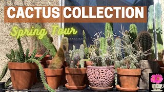 2022 Cactus Collection Spring Tour | #cactus #desert