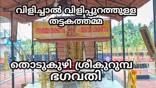 Thodukuzhi sree kurumbha bhagavathi  | തൊടുകുഴി ശ്രീ കുറുമ്പ ഭഗവതി ക്ഷേത്രം | kerala | palakkad