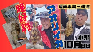 寒くなっても絶好釣⁉陸っぱりからアオリイカ🦑今日は娘の誕生日🎂【愛知県渥美半島三河湾】