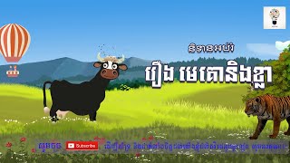 រឿងមេគោនិងខ្លា | Cow with Tiger