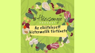 A Nosalty és a Raiffeisen bemutatja: #HÁZICSEMEGE PODCAST Szalai Dórival, a Chez Dodo alapítójával