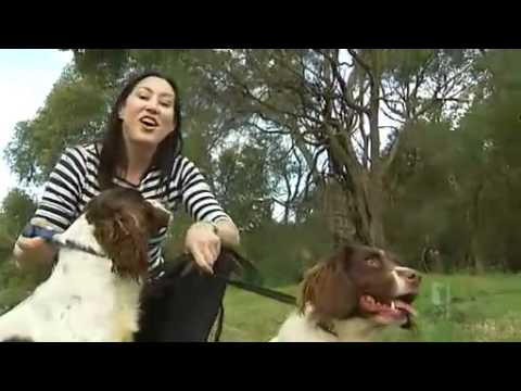 Dogs train for African safari Dogs train for African safari
