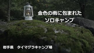 [岩手県タイマグラキャンプ場] 金色の雨に包まれたソロキャンプ。