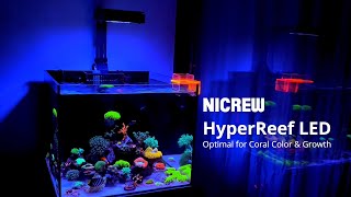 NICREW HyperReef LED