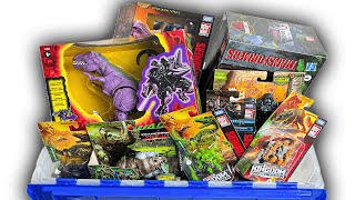HUGE Transformers: War for Cybertron & Beast Wars Collection | T-Rex, Velociraptor, and More!