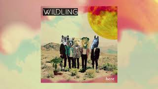 Wildling - Hummingbird [Official Audio]