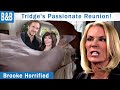 Bold and The Beautiful Spoilers: Brooke Catches Tridge Hot and Heavy.