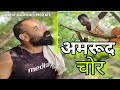 Amrudh Chor | अमरूद चोर | Amarjit Singh Vines | Bhojpuri Comedy Video