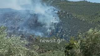 Κάηκαν σπίτια από τη φωτιά στο Πόρτο Γερμενό