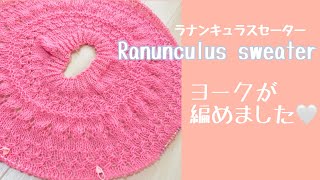 【Ranunculus sweater】ヨークが編めました♡ ep.68