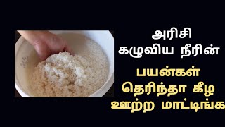 அரிசி கழுவிய தண்ணீரை இப்படி பயனபடுத்துங்க/Rice washed Water benifits