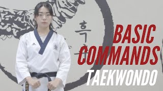 Taekwondo Basic: Taekwondo Commands in Korean