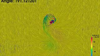 Example 2D Cycloidal Rotor Animation with Surface LIC Rendering from Paraview