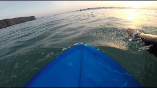 POV Surfing: Arrifana || 5'2\