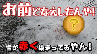 【特別movie】🎅メリークリスマス🎄in高野山で遭遇💥…オイ!大丈夫か❓えっ💦事故に遭ったんか‼️