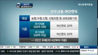 [단독]농협, 대출 1조원 동일인여신한도 초과 위기...탁상행정 폐해