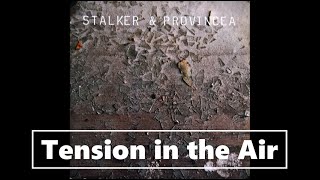 Stalker - Tension in the Air