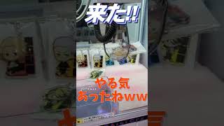 【クレーンゲーム】えっ!?まじで!!メチャクチャやる気があったｗｗ【東京リベンジャーズ】【セガ】