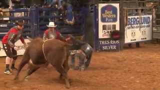 PRS Bull Fighters in Action