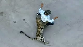 Nature's Most LETHAL Animal Attacks