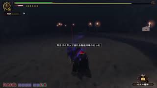 【MHF-ZZ】極みナルガ 反射 ガ性なし ガンランス ソロ