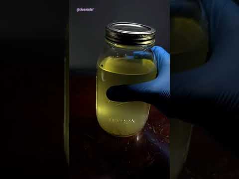 Does evaporation remove bacteria from water?