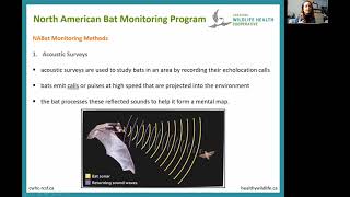 North American Bat Monitoring Program