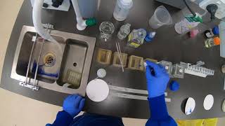 Masson's Trichrome and MSB staining protocols