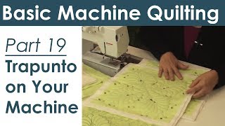 Trapunto on Your Home Sewing Machine  Machine Quilting