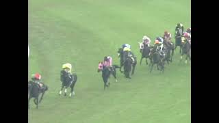 ジャングルポケット 2001年 第62回菊花賞(GI) (優勝馬：マンハッタンカフェ)